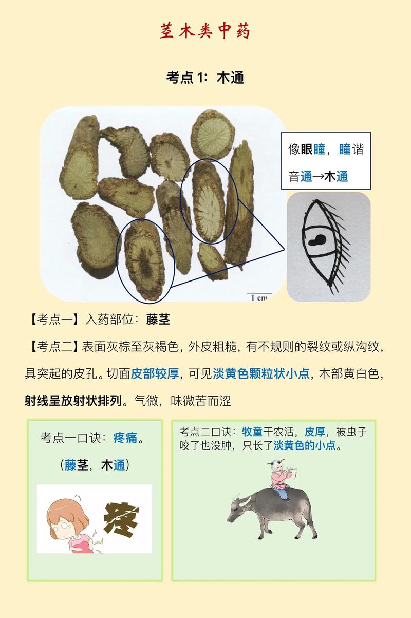 悉安印度代购希爱力是真的吗？避坑指南与正品鉴别全攻略